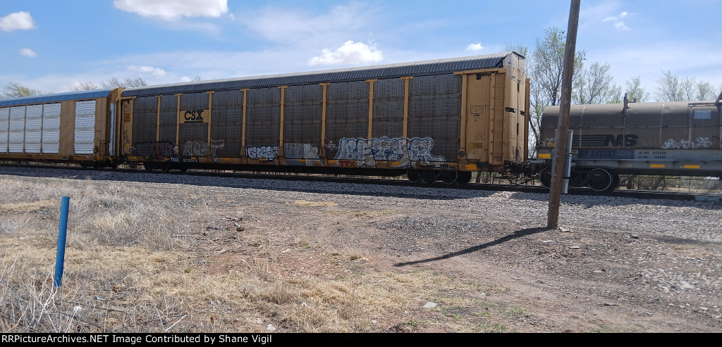 TTGX 973324
